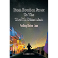 From Bourbon Street to the Twelfth Dimension: Finding Divine Love - Paperback
