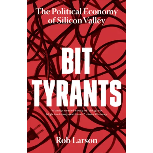 Bit Tyrants: The Political Economy of Silicon Valley - Paperback