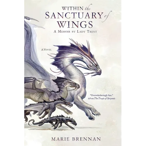 Within the Sanctuary of Wings - Paperback