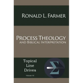 Process Theology and Biblical Interpretation - Paperback