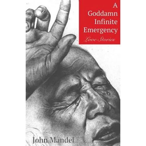 A Goddamn Infinite Emergency: Love Stories - Paperback