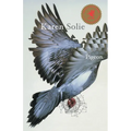 Pigeon - Paperback