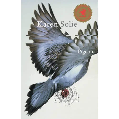 Pigeon - Paperback
