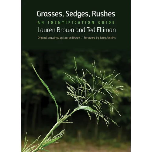 Grasses, Sedges, Rushes: An Identification Guide - Paperback