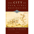The City of Your Final Destination - Paperback