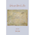 Urban Bird Life - Paperback