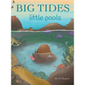 Big Tides Little Pools - Hardcover