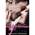 Gaming For Love - Paperback
