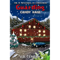 Guarding Candy Kane - Paperback