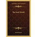 The Soul World - Paperback