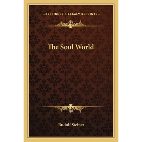 The Soul World - Paperback
