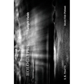 Hologlyphs: Twilight Fields - Paperback