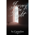 Journey to the Light - Hardcover