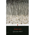 If Not Now, When? - Paperback
