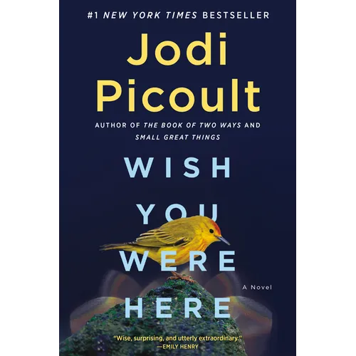Wish You Were Here - Paperback