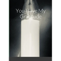 You Have My Gratitude - Paperback