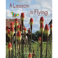 A Lesson in Flying - Paperback