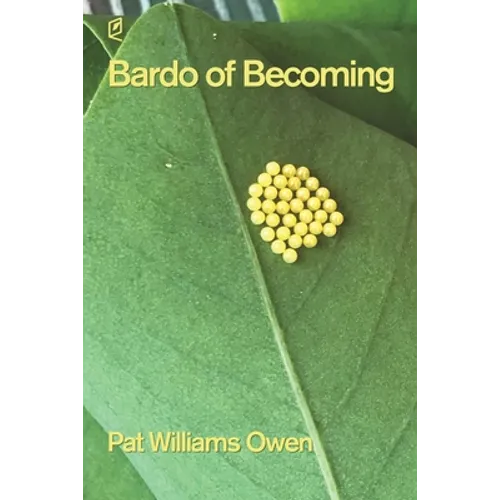 Bardo of Becoming - Paperback