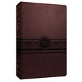 Personal Size Large Print Bible-Mev - Imitation Leather