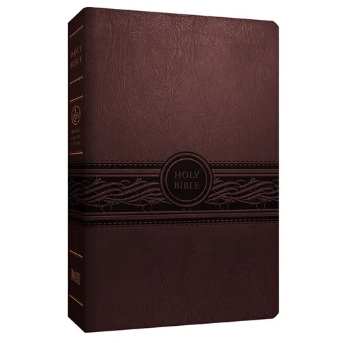 Personal Size Large Print Bible-Mev - Imitation Leather