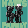 Kaws: Family - Hardcover