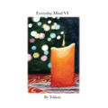 Everyday Mind VI - Paperback