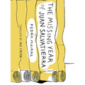 The Missing Year of Juan Salvatierra - Paperback