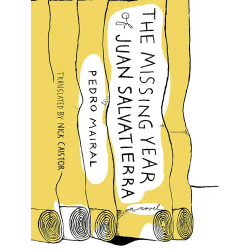 The Missing Year of Juan Salvatierra - Paperback