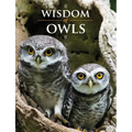 Wisdom of Owls - Hardcover