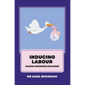 Inducing Labour: making informed decisions - Paperback