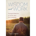 Wisdom and Work: Theological Reflections on Human Labor from Ecclesiastes - Hardcover