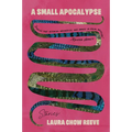 A Small Apocalypse: Stories - Paperback