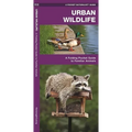 Urban Wildlife: A Folding Pocket Guide to Familiar Animals