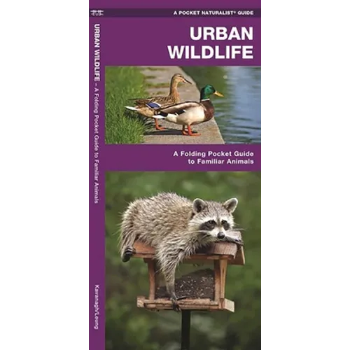 Urban Wildlife: A Folding Pocket Guide to Familiar Animals