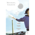 Mysteries of Pittsburgh - Paperback