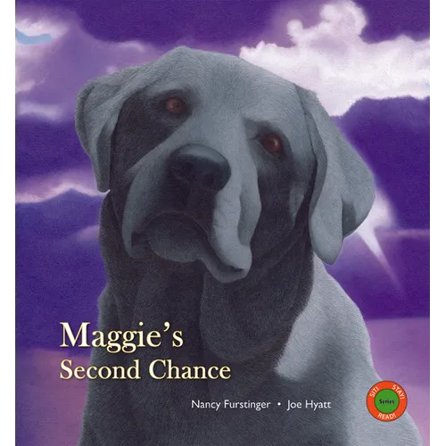 Maggie's Second Chance - Hardcover
