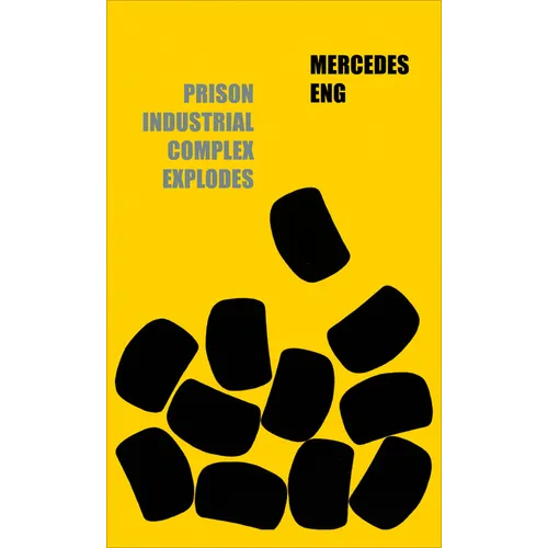 Prison Industrial Complex Explodes - Paperback