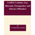 Lgbti: Lesbian, Gay, Bisexual, Transgender, and Intersex Offenders