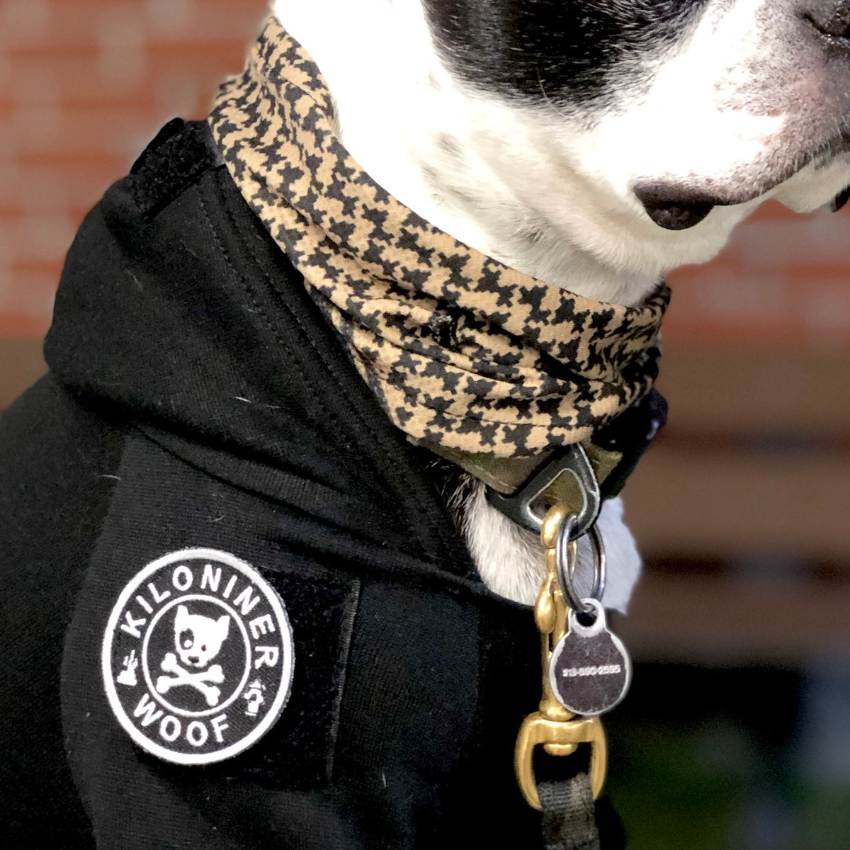 MINI DOG & CROSSBONES Black and White Morale Patch