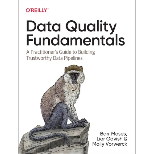 Data Quality Fundamentals: A Practitioner's Guide to Building Trustworthy Data Pipelines - Paperback