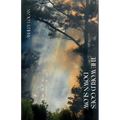 The World Goes Down Slow - Paperback
