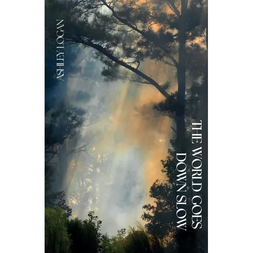 The World Goes Down Slow - Paperback