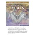 The Ministry of Angels Study Guide - Paperback