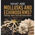 What are Mollusks and Echinoderms? Functions, Groups, Roles and Characteristics Grade 6-8 Life Science - Hardcover