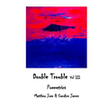 Double Trouble Vol III - Poemetrics: Poemetrics - Paperback