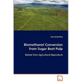 Biomethanol Conversion from Sugar Beet Pulp - Paperback