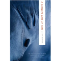 A Sideways Look at Time - Paperback