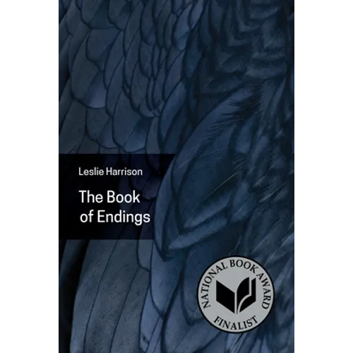 The Book of Endings - Paperback