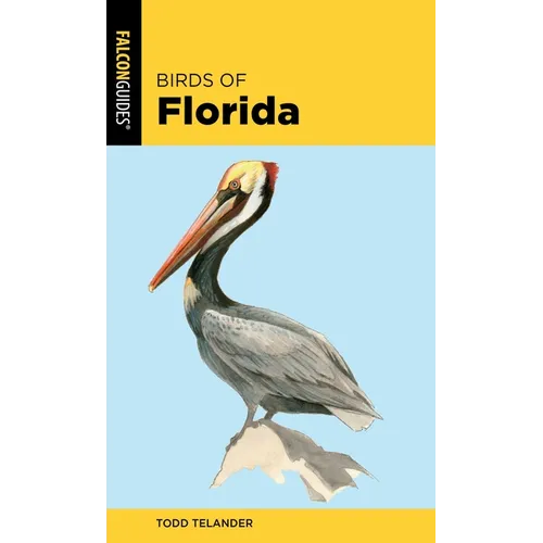 Birds of Florida - Paperback