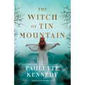 The Witch of Tin Mountain - Paperback